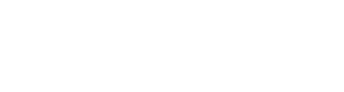 Logo ICUB